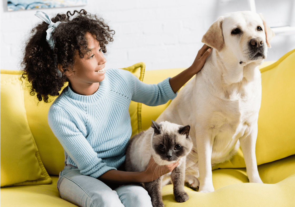 girl on couch sitting with dog and cat